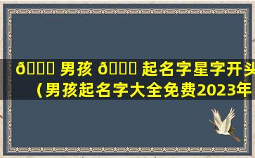 🐕 男孩 🐕 起名字星字开头的（男孩起名字大全免费2023年属兔）